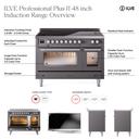 UPI486QMPBG - Overview